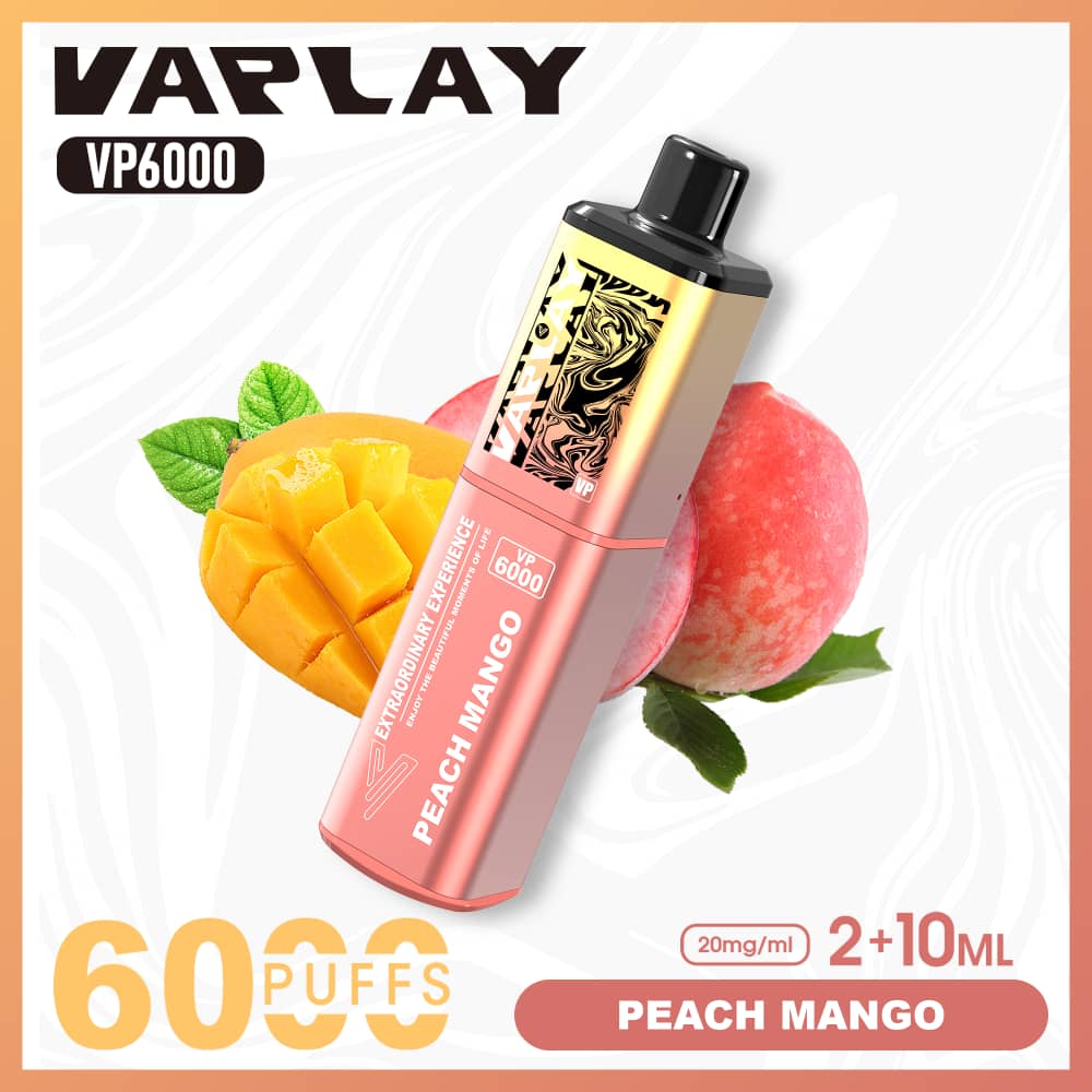 Vaplay VP6000 Puffs Disposable Vape (Box of 5)