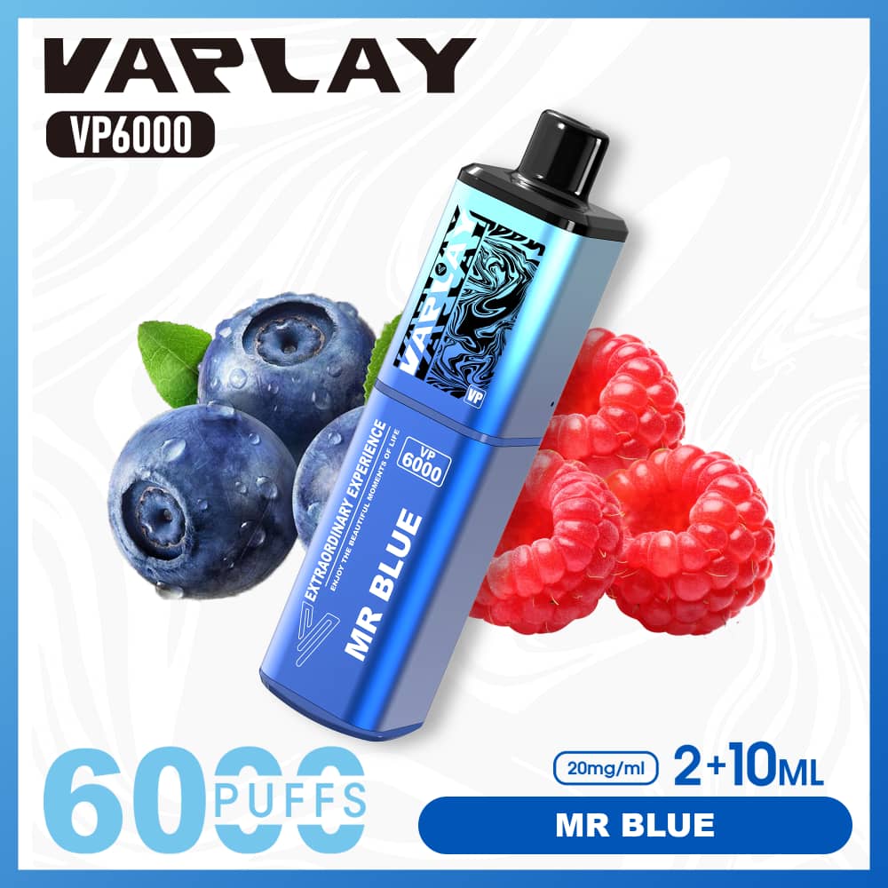 Vaplay VP6000 Puffs Disposable Vape (Box of 5)