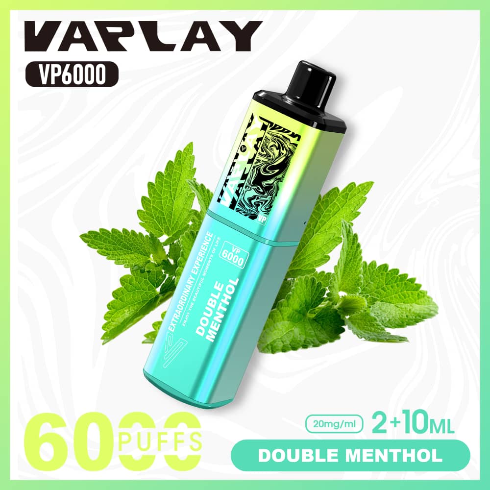 Vaplay VP6000 Puffs Disposable Vape (Box of 5)