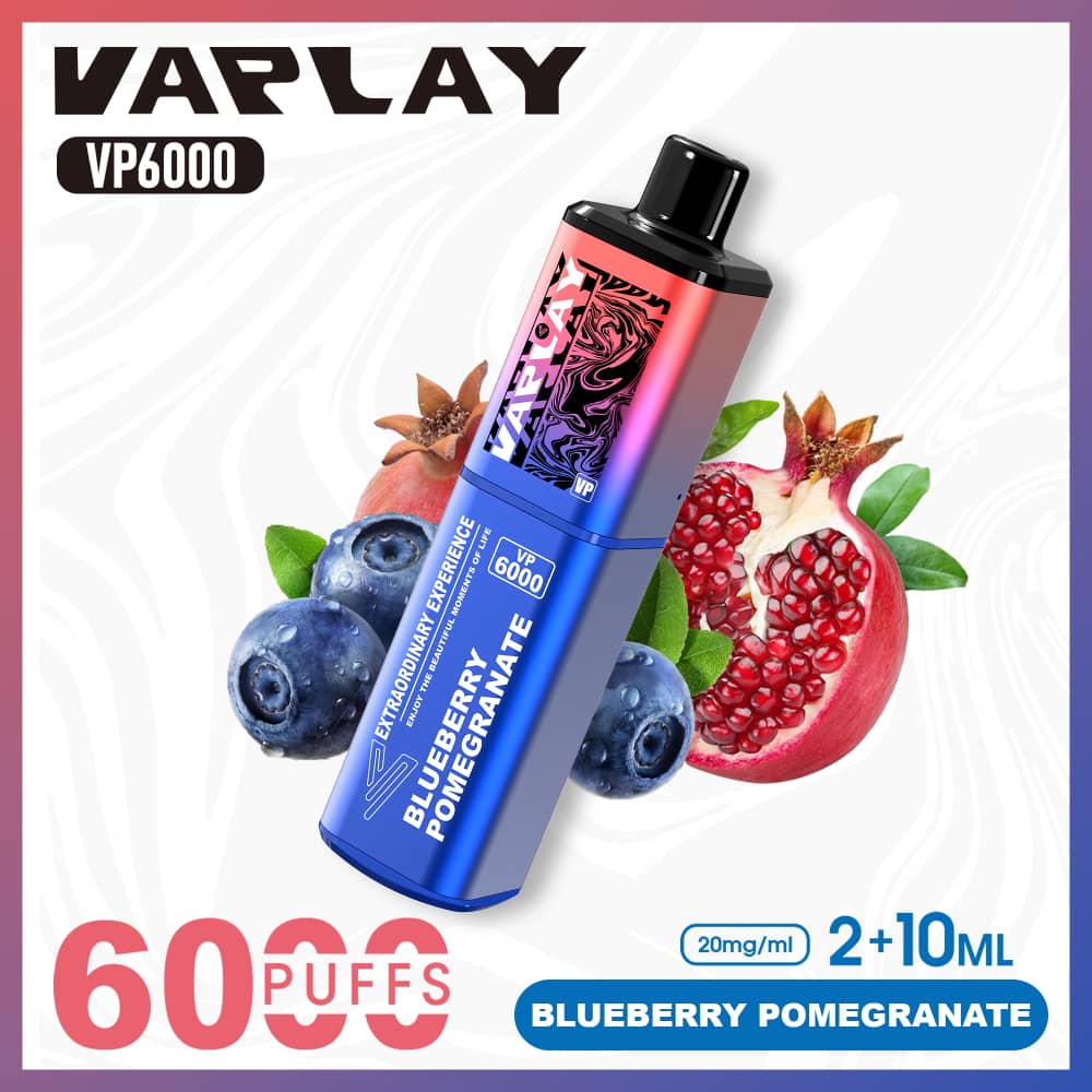 Vaplay VP6000 Puffs Disposable Vape (Box of 5)