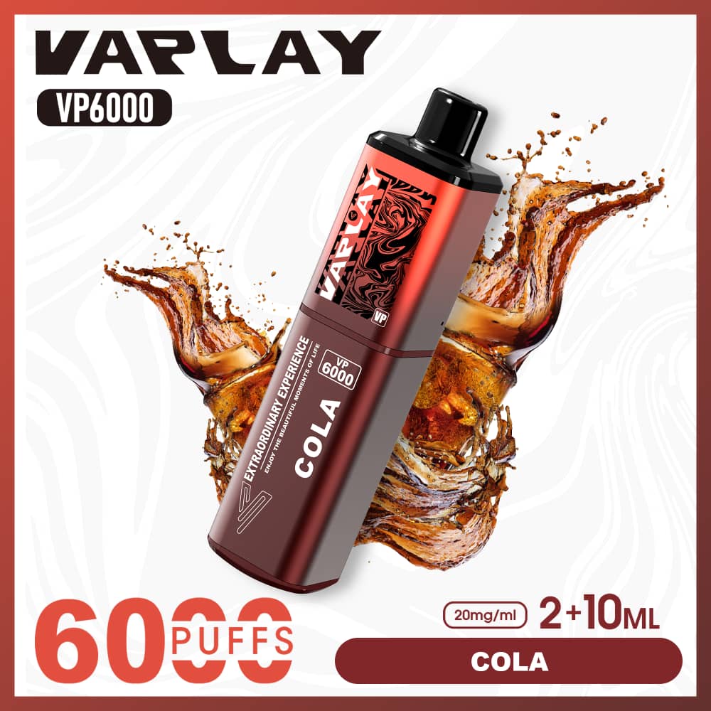 Vaplay VP6000 Puffs Disposable Vape (Box of 5)