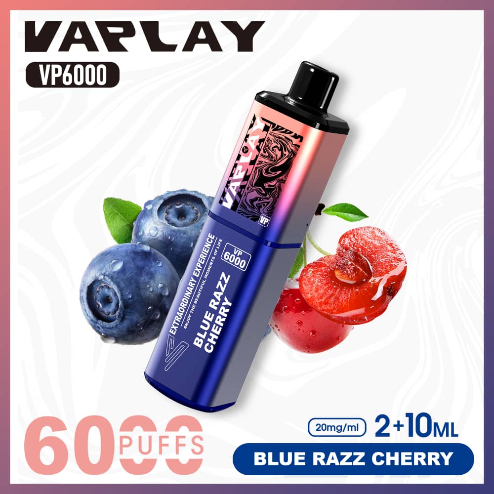 Vaplay VP6000 Puffs Disposable Vape (Box of 5)