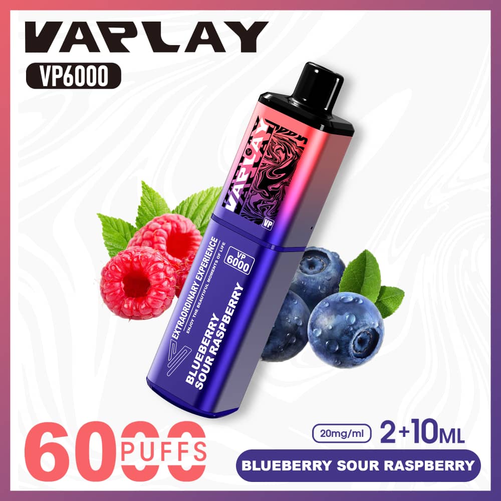Vaplay VP6000 Puffs Disposable Vape (Box of 5)