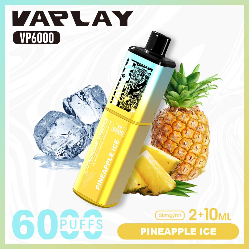 Vaplay VP6000 Puffs Disposable Vape (Box of 5)