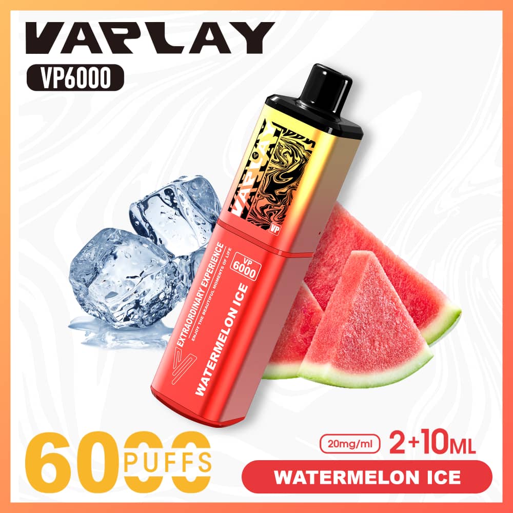 Vaplay VP6000 Puffs Disposable Vape (Box of 5)