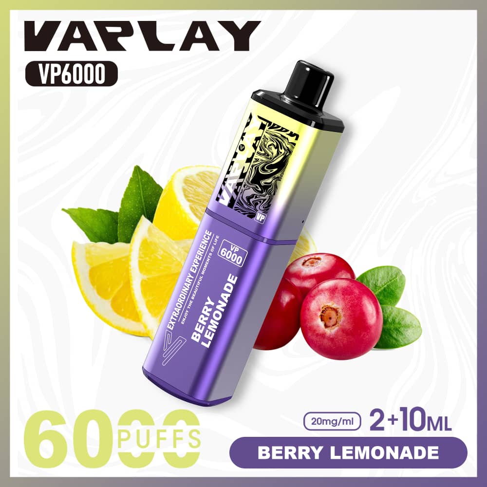Vaplay VP6000 Puffs Disposable Vape (Box of 5)