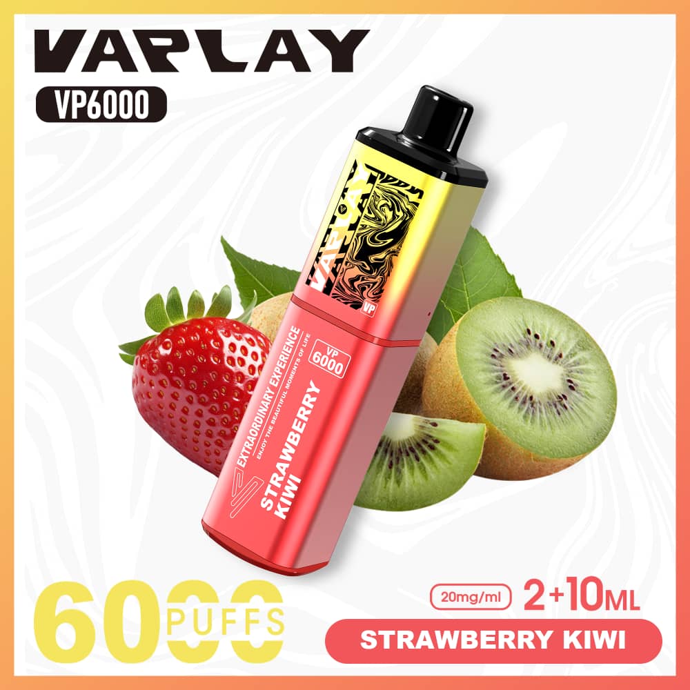 Vaplay VP6000 Puffs Disposable Vape (Box of 5)