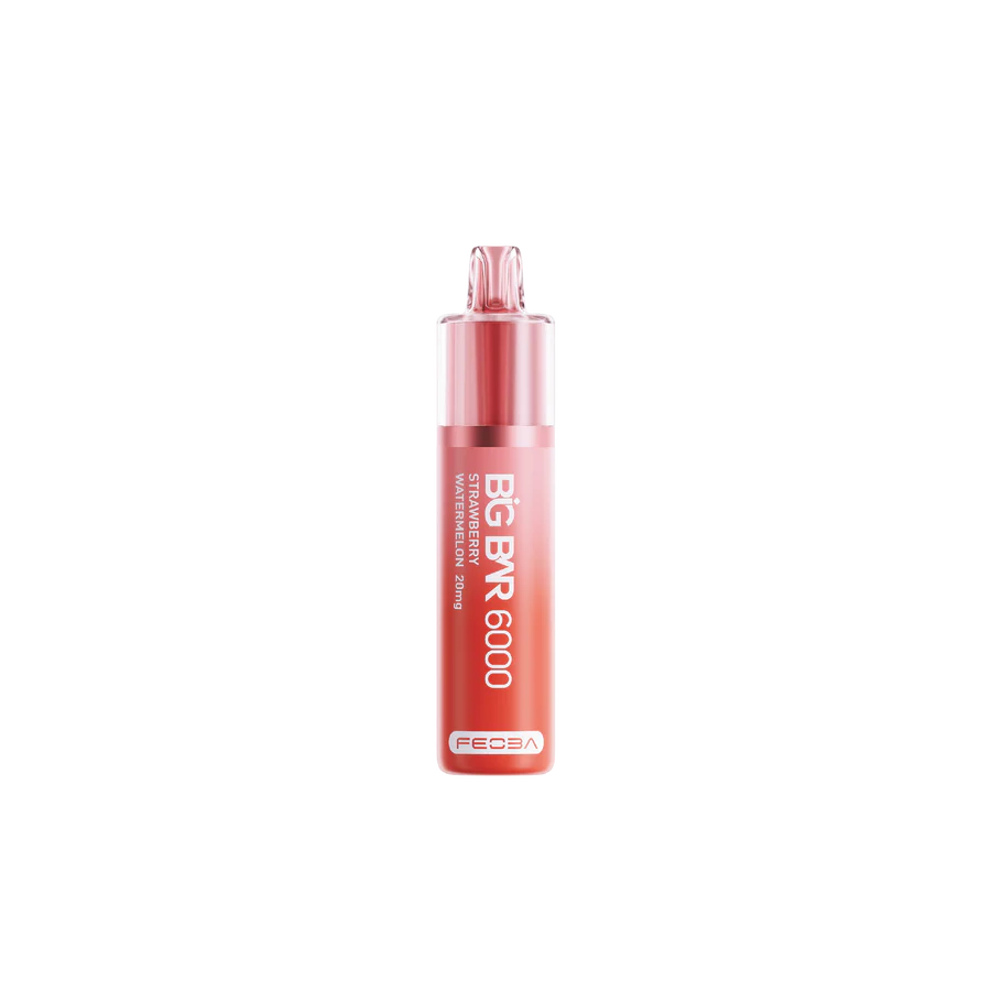 Feoba Big Bar 6000 Puffs (Box of 5)