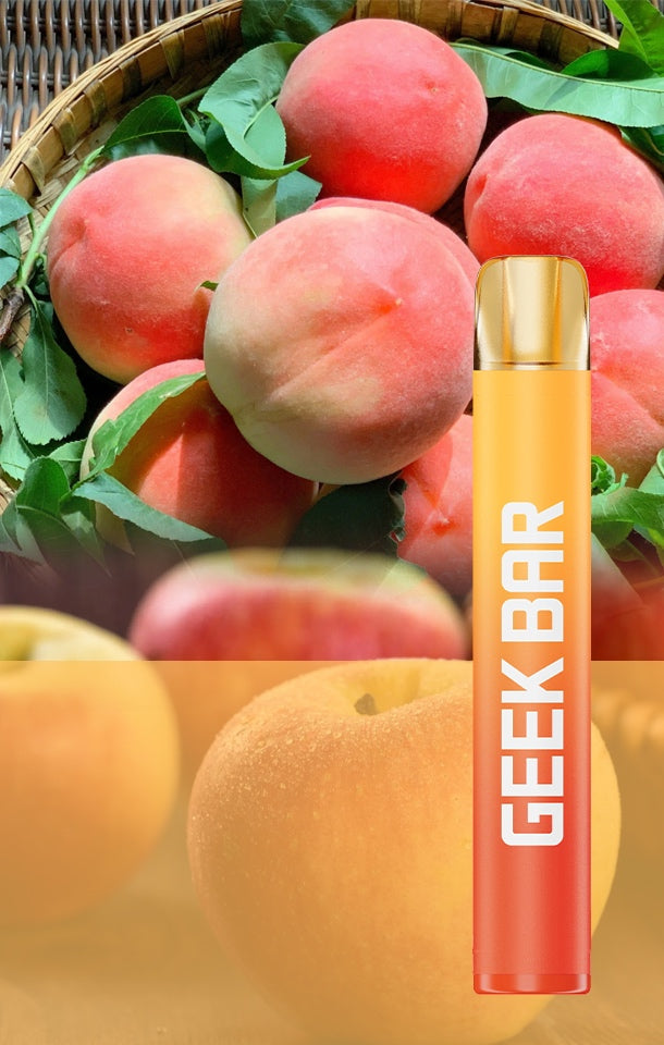 Geek Bar 600 Box of 10 Disposable Vape